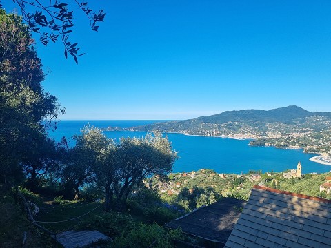 Sant’Ambrogio, Zoagli, delizioso appartamento in affitto